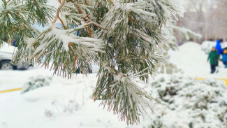 Приметы на 29 февраля. Не делайте этого в Касьяна-високосного день, если не хотите стать невезучим