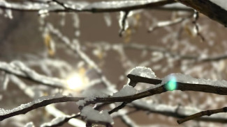 Синоптики спрогнозировали возвращение в Самарскую область потепления до +1ºС