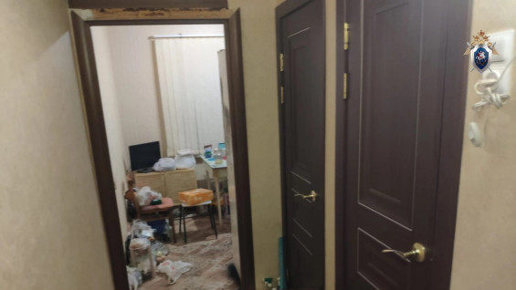 В Самарской области женщине убила отца и напала на мать