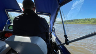 Мэрия Самары через суд отстояла пляж на Барбошиной поляне