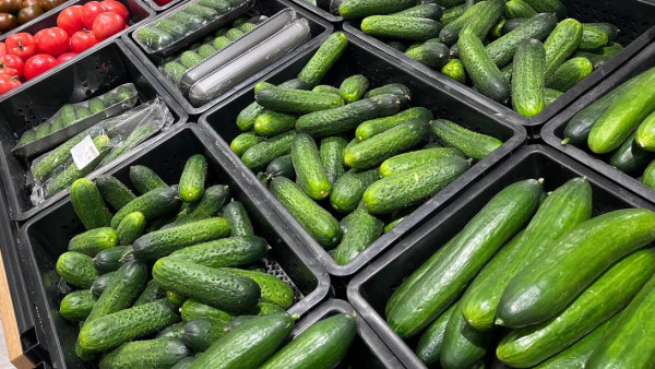 16 июля - День огурца: свойства и польза овоща для человека