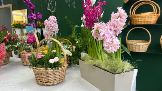 Аллерголог объяснил, какие цветы не стоит дарить самарчанкам на 8 Марта