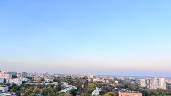 Глава СК затребовал доклад после жалоб жителей на уничтожение аллеи в Самарской области