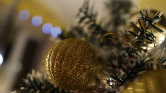 Эксперты назвали цену базового новогоднего декора для самарцев