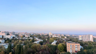 Глава СК затребовал доклад после жалоб жителей на уничтожение аллеи в Самарской области