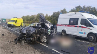 Появились кадры самарского ДТП с тремя погибшими и тремя пострадавшими на трассе М-5