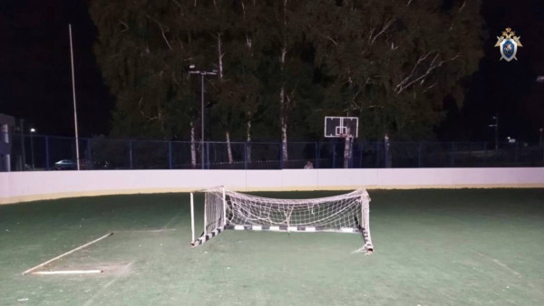 Глава СКР ждет доклад о смерти школьника на футбольном поле под Самарой