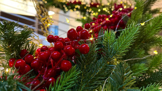 Роспотребнадзор рассказал самарцам, как выбрать качественные новогодние сладости