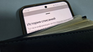 В Самарской области хотят запретить автоподписки на платные онлайн-сервисы