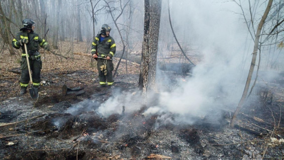 В Самарской области произошел первый лесной пожар