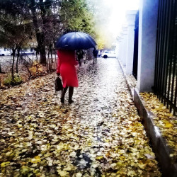 В эти выходные погода в Самарской области будет отличаться капризным характером