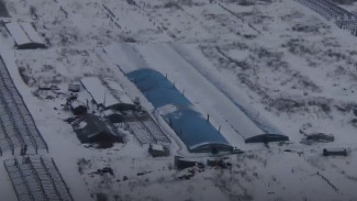 Рейд по теплицам под Самарой: поймали 13 мигрантов