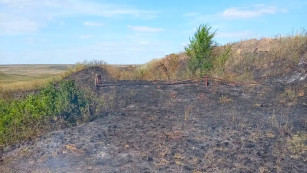 Под Самарой загорелась сухая трава на площади 500 квадратов