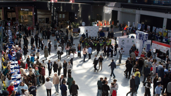 В Самарской области состоялся региональный этап Всероссийской ярмарки трудоустройства
