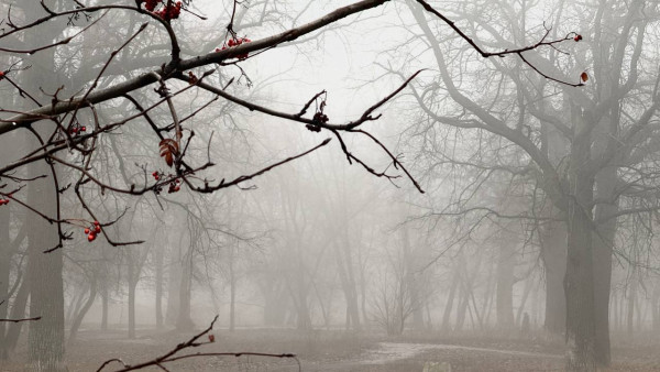 В Самарской области объявили желтый уровень опасности 2 декабря