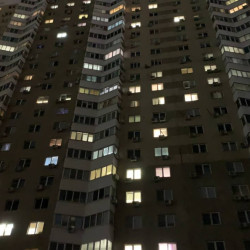 В Октябрьском районе Самары ввели временный карантин по бешенству