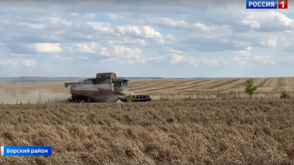 «Хлеб»: итоги полевого сезона – 2025 