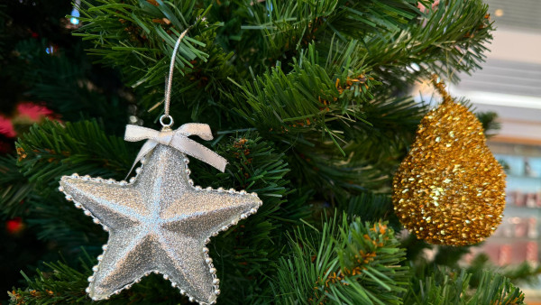 Самарцам представили график работы РЭО ГАИ в праздничные дни