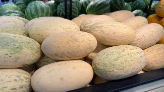 Самарцам рассказали, где приобрести безопасные дыни