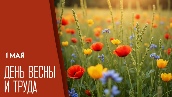 1 мая 2026 — День Весны и Труда: делимся идеями, чем заняться в праздник