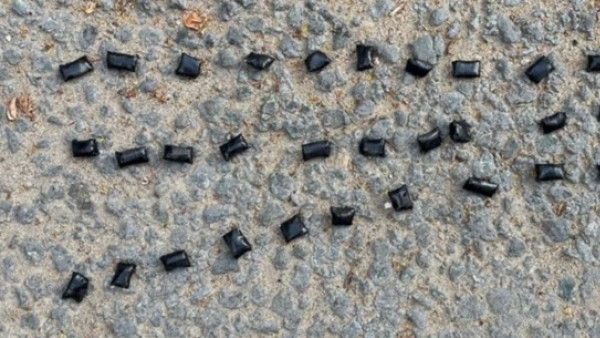 Вуз в Самарской области стал местом закладки наркотиков