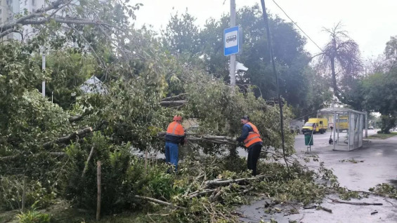 В Самаре 15 бригад ликвидируют последствия шторма