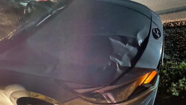 Водитель Hyundai Elantra наехал на лошадь под Самарой