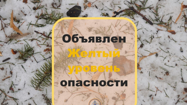 В Самарской области ожидается снежный шторм, заносы и гололед 21 ноября 2021 года