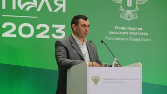 Уроженец Самарской области Роман Некрасов стал замминистра сельского хозяйства России