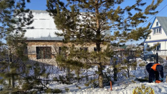 Самарский пенсионер расчленил друга и получил 10 лет строгого режима