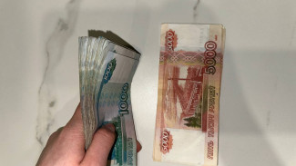 24 арестованных земельных участка в Самарской области продадут на госторгах в январе