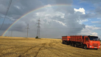 44 меры поддержки и рекордный урожай: итоги года для самарских аграриев