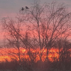 5 балльная магнитная буря обрушится на Самару 13 марта