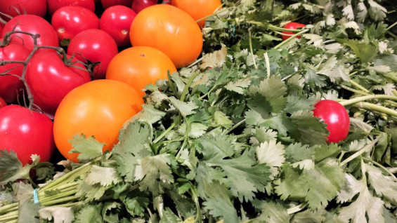 Самарские онкологи рассказали, какие продукты помогают в профилактике и лечении рака 