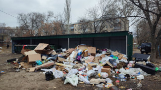В Самарской области закуплены и арендованы дополнительные мусоровозы
