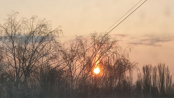 Тепло и сыро будет в Самаре в выходные