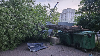 Стало известно о последствиях урагана 9 августа в Самарской области