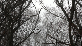 В Самарском регионе всю ночь 13 декабря действовал режим опасности атаки БПЛА