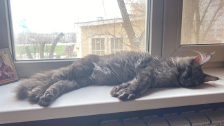 Названа точная дата, когда Самара разогреется до +22°C 