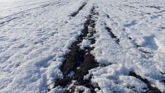 В Самарской области изменили порядок перевода земель сельхозназначения в другую категорию