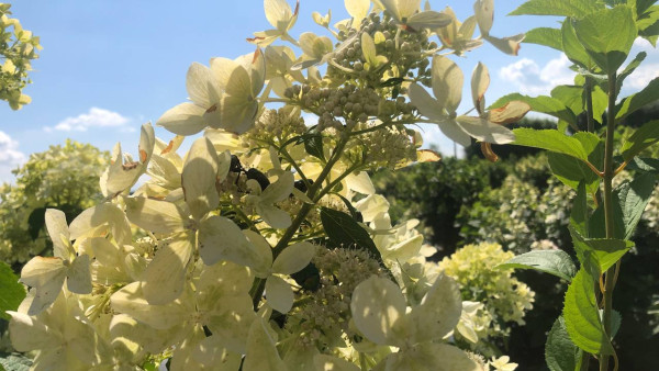 Лучший день в году? Астрологи представили феноменальное предсказание на 17 мая 2024 года