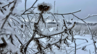 Народный календарь на 23 октября 2025: что можно и нельзя делать в день Евлампия Зимоуказателя