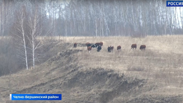 «Хлеб»: фермеры и агростартап 