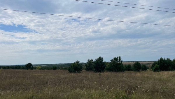 В Самарской области выявлены нарушения в обработке растений химикатами