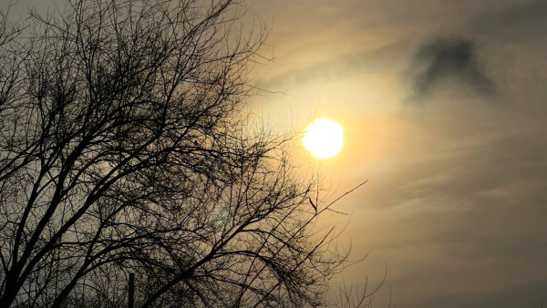 В самарский аэропорт Курумоч возобновил работу 11 марта