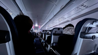 В небе над Самарой экстренно развернулся самолет