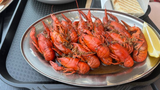 На самарской набережной два дня будут угощать волжскими раками, жигулевской вишней и сызранскими помидорами