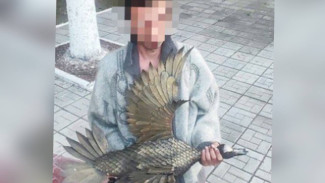 В Жигулёвске поймали 30-летнего вора, укравшего популярную скульптуру утки