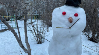 Мороз крепчает: самарские синоптики рассказали о погоде в первую неделю января