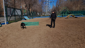 В УФСИН Самарской области на пенсию проводили служебных собак